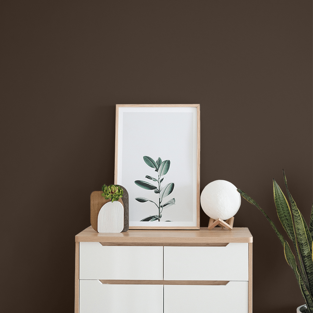 Brown’d - Wall Paint