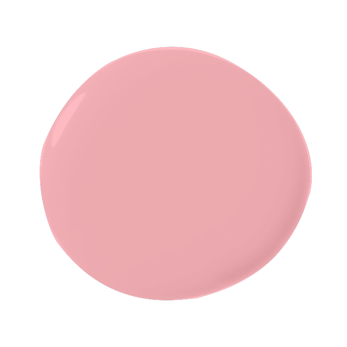 Cosy Pink - Muurverf