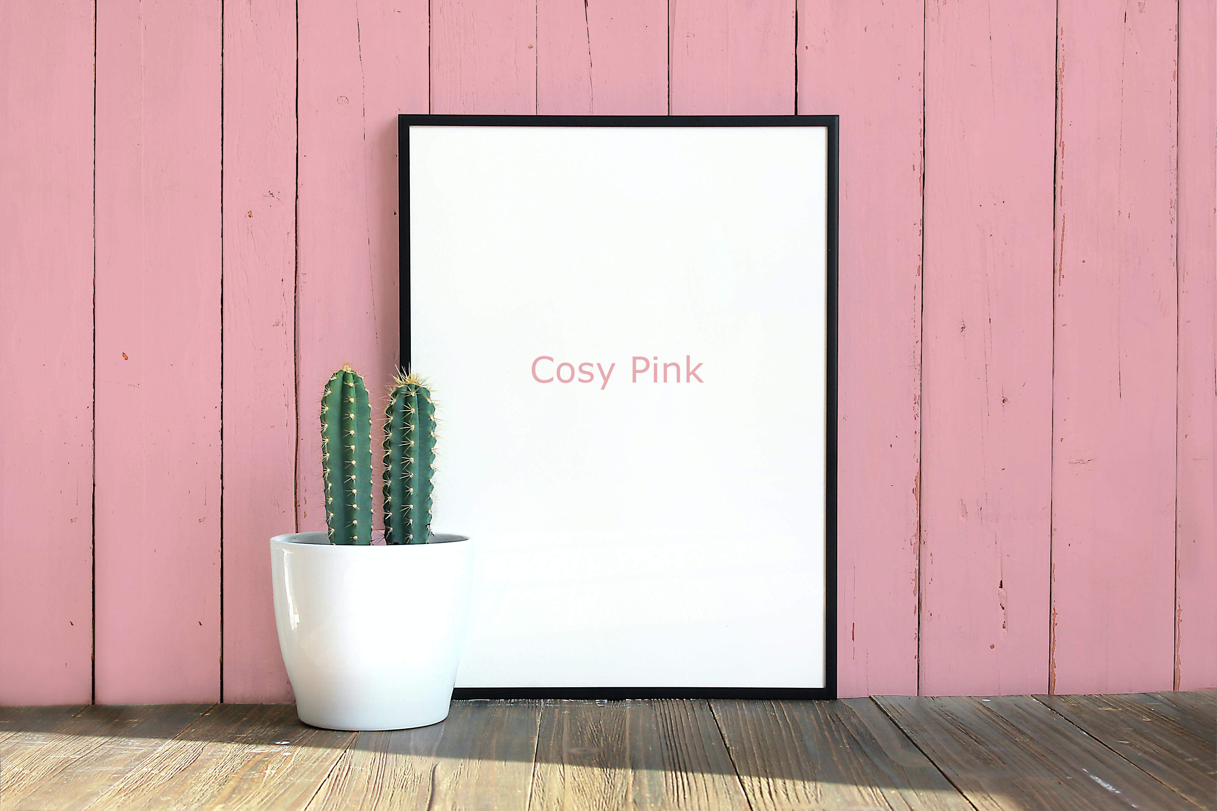 Cosy Pink - Trim Paint