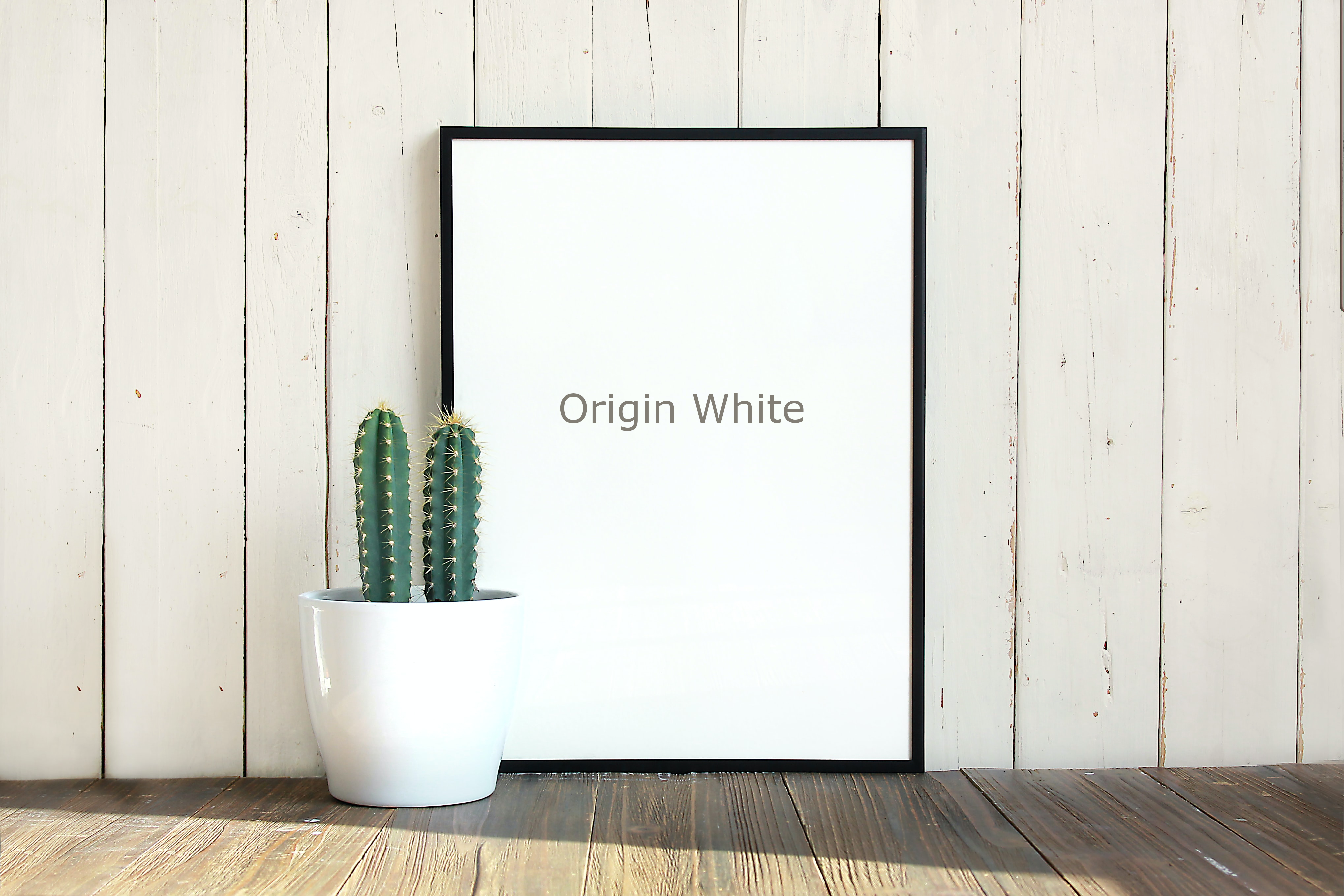 Origin White (RAL9010) - Trim Paint