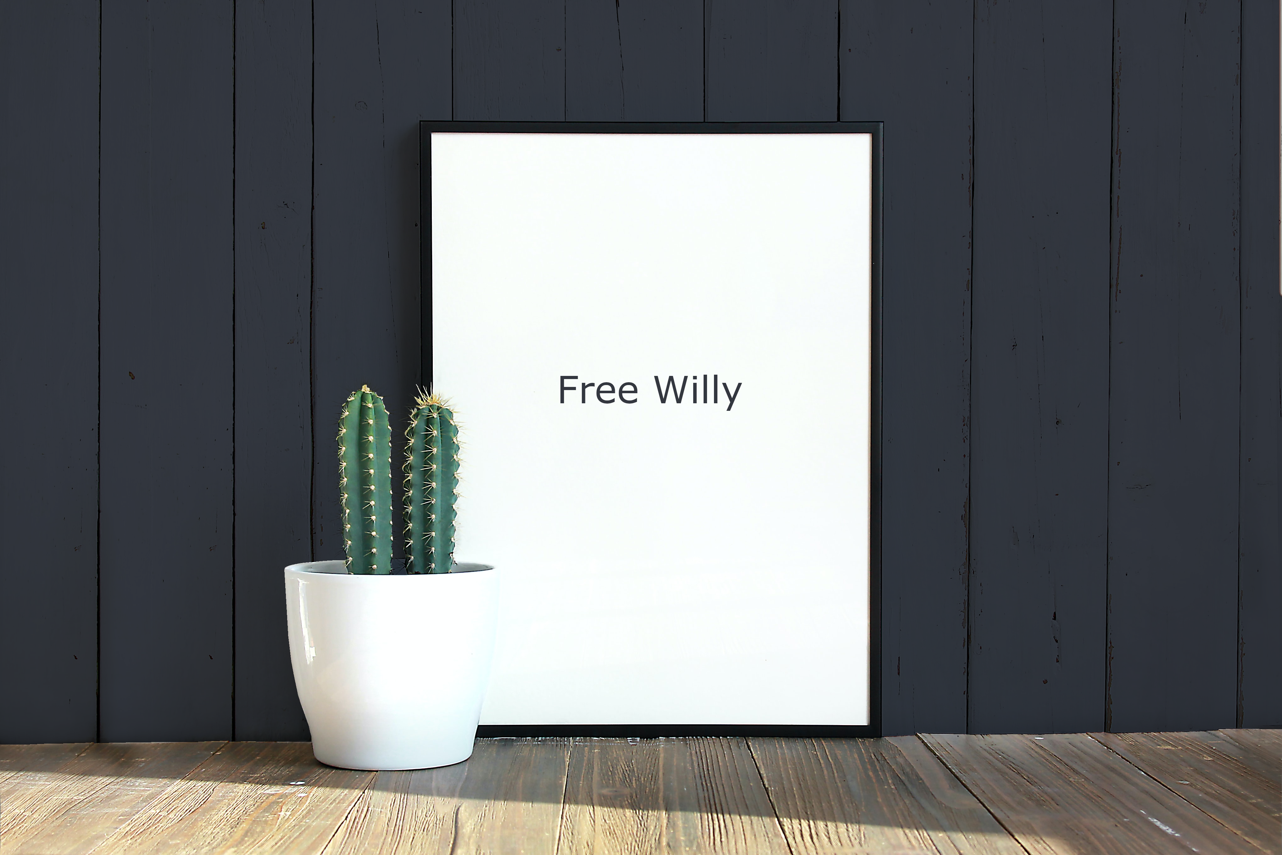 Free Willy - Trim Paint